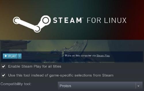 /steam-linux-proton_2296418142873592208.jpg